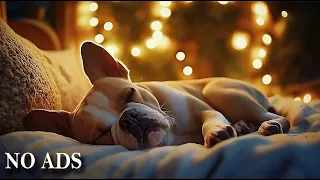 Dog Sleep Music NO ADS 🐶🎶 | Calming Tunes for Stress & Anxiety Relief