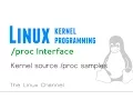 195 Linux Kernel proc Interface - Kernel source proc samples