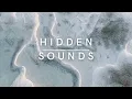 Jan Blomqvist - Canopee des Cimes (Extended Version)