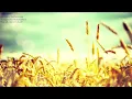 Golden Slumbers John Lennon Paul McCartney The Beatles Music Box Cover Relaxing BGM @lovelylullabies