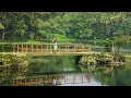 Download Lagu Telaga Remis - Hj. Iwi S (Tarling Jadul)