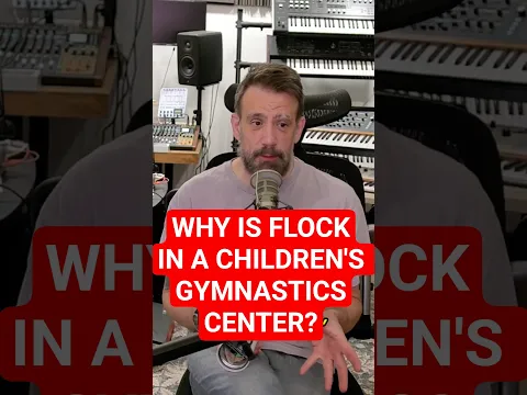 How exactly does remotely spying on kids practicing gymnastics make them safer?