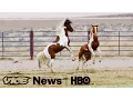 Download Lagu For Wild Horses, It's Ride Or Die (HBO)