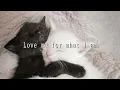 Download Lagu Love me for what I am (Carpenters cover)