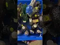 Avon bottles are useless and not collectible