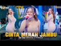 Download Lagu CINTA MERAH JAMBU (Cinta Lahir Batin) - YUNI YUNEL OM NIRWANA COMEBACK