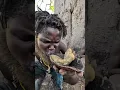 Download Lagu #hadzabetribe#dudukwe#chaaba#wildlife#yummyfood#foryou#trendingvideo#village