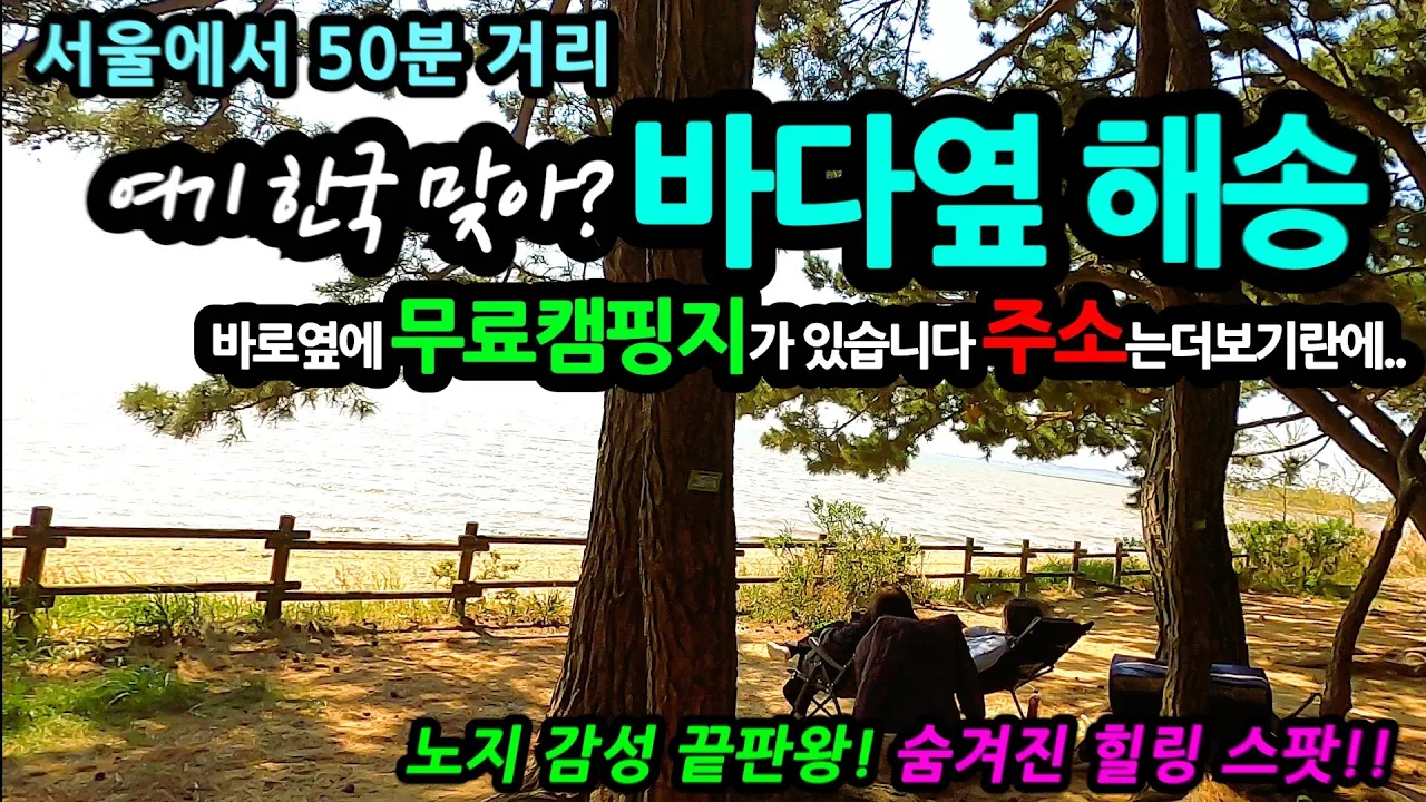 서울에서 50분 거리 바로 옆에 노지캠핑 가능 차박지 노지 감성 끝판왕! 숭겨진 힐링 스팟!! 썸네일