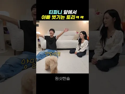 티파니에게 개인기 계속 보라는 천재견 토리 결국ㅋㅋㅋㅋ