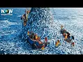 Download Lagu Shocking The Seas! European Trawlers Pull Mountains of Fish with Giant Nets | Fishing Documentary