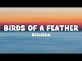 Download Lagu Billie Eilish - BIRDS OF A FEATHER (Lyrics)