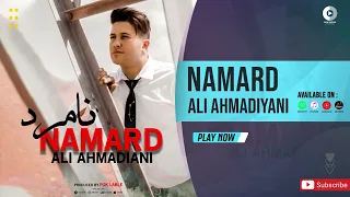Ali Ahmadiyani Namard OFFICIAL AUDIO TRACK علی احمدیانی نامرد 