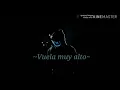 VUELA MUY ALTO - JERRY RIVERA (con letra-techno)