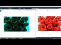Python image manipulation removing a color from a picture