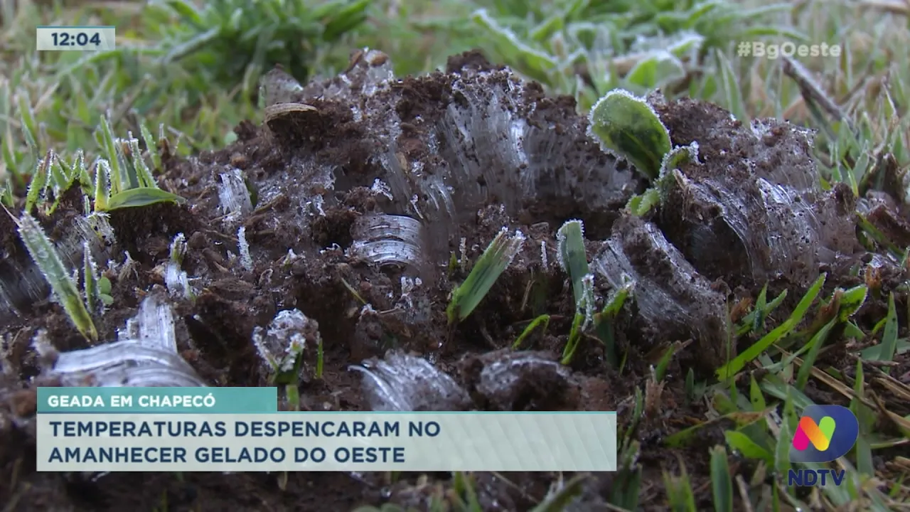 Geada no Oeste de SC: temperaturas despencaram no amanhecer gelado desta terça-feira