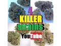 4 Killer Strains in 1080 CBD OG Cookies Kush