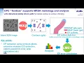 Tech Talk - Contour-based Mask Metrology Autumn Edition 2021