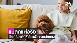 การเลี้ยงสัตว์เลี้ยงในบ้านมีผลต่อภูมิคุ้มกันของเด็กอย่างไร