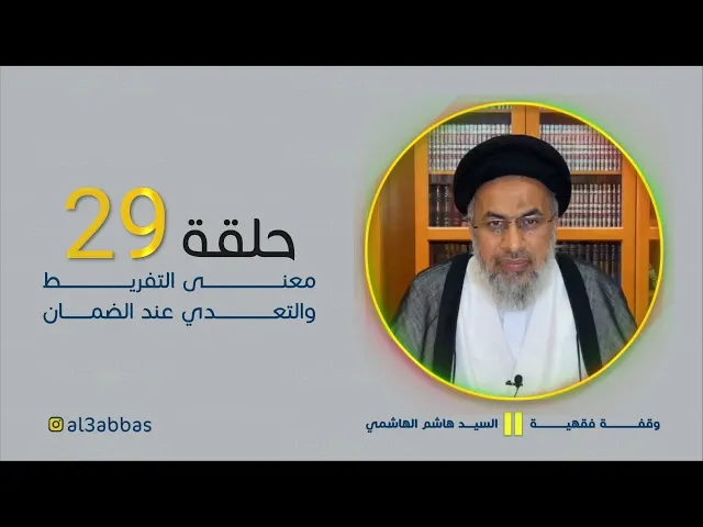 ⁣معنىٰ التفريط والتعدي عند الضمان - السيد هاشم الهاشمي