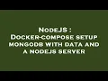 NodeJS Docker-compose setup mongodb with data and a nodejs server