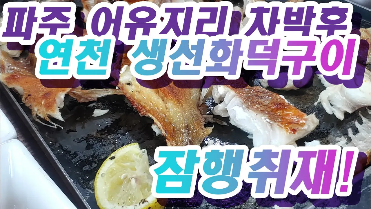 관련 영상 썸네일