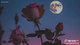مليانة الدنيا بتفاصيل دندنها