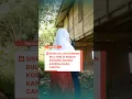 Download Lagu SISWI SD JADI KORBAN BULLYING DI RUMAH KOSONG, DIDUGA KARENA KALAH CANTIK!