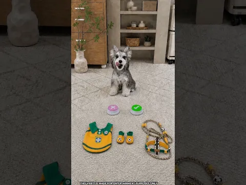 🐶⚽ This Dog Chose Ronaldo’s Jersey! 🇵🇹🔥#shortvideo #shortsfeed #youtubeshorts #viralvideo #shorts