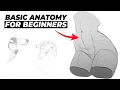 How to Draw Basic Anatomy FAST for beginners
