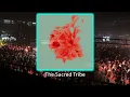 Lexer feat Audrey Janssens - Mindscapes (Extended Mix) - #melodichouse #thesacredtribe