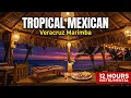 Tropical Mexican Restaurant Songs Veracruz Marimba 12 Hours Marimba Guitar Instrumental Music