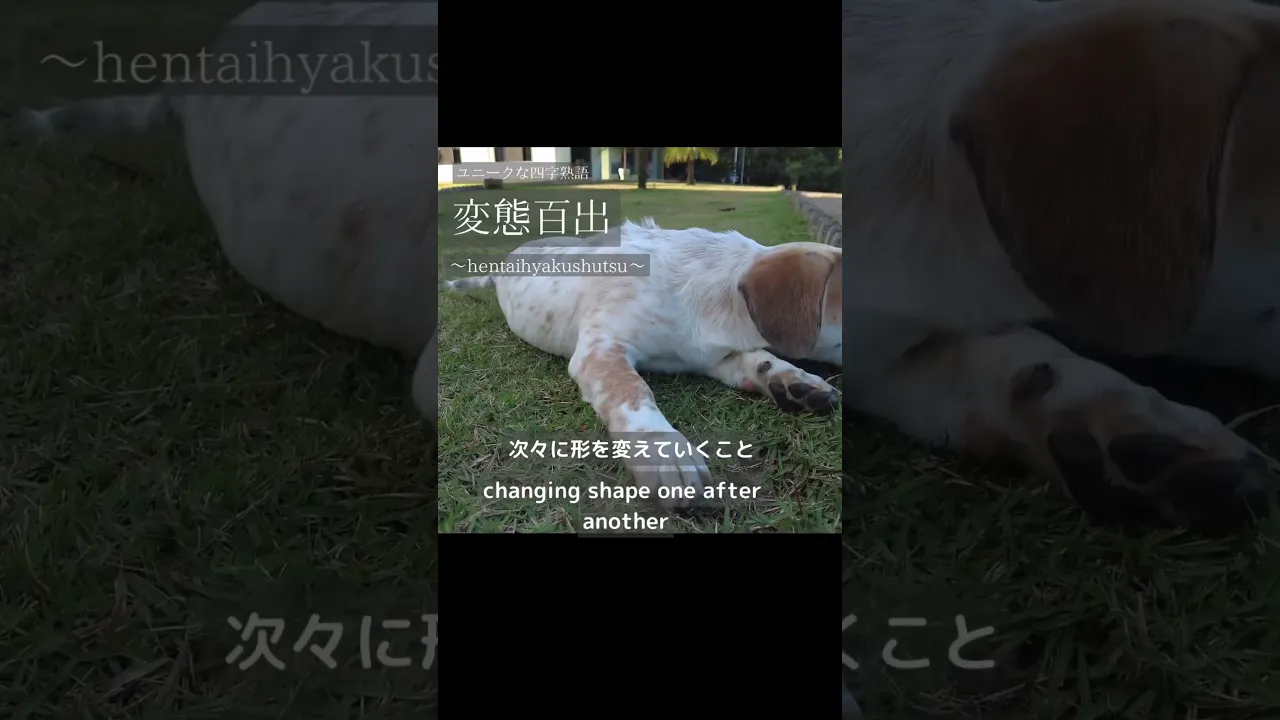 【高齢者向け】面白い四字熟語。字面・単語・意味そのものがユニークな四字熟語をご紹介