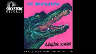 Download The Montgomerys 'Blues By My Side' - Alligator Joyride (Greystone Records) MP3