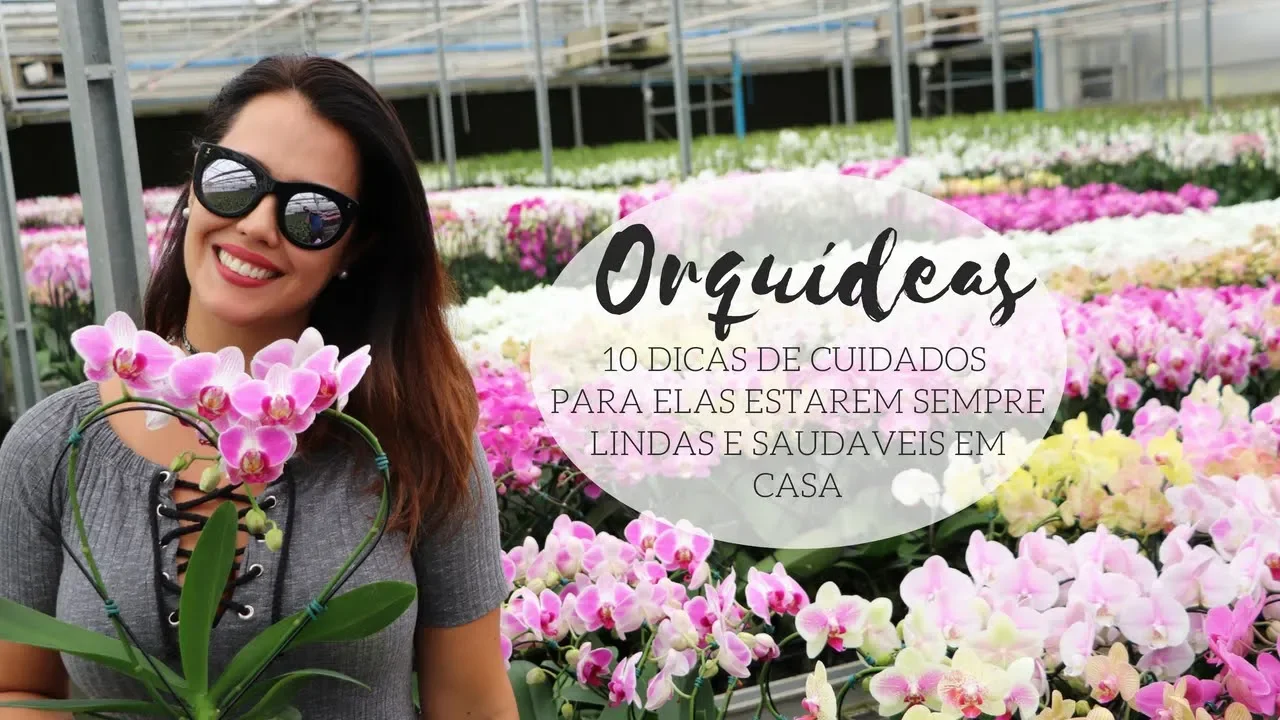 10 DICAS DE ESPECIALISTA DE COMO DEIXAR AS ORQUÍDEAS DA SUA CASA SEMPRE LINDAS E SAUDÁVEIS