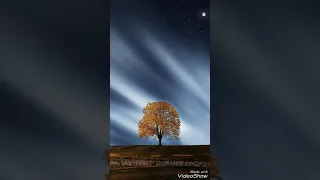 اجمل نغمه رنين ماهر زين مولاي صلي وسلم  اجمل نغمه رنين ماهر زين مولاي صلي وسلم