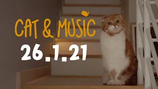 🔴26.1.21 Cat & Music LIVE (feat.치순chisoon&콩kong)【SURI&NOEL】😺