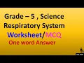 Class5th Respiratory system grade 5 science Respiratory System worksheet MCQ One word Answer