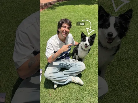 Sorprendí a mi perrita.