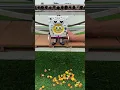 Download Lagu Guess the SpongeBob sound !! 🔊 #spongebob #funny #cute