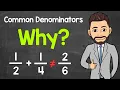 Why Do We Need a Common Denominator When Adding and Subtracting Fractions Math with Mr J