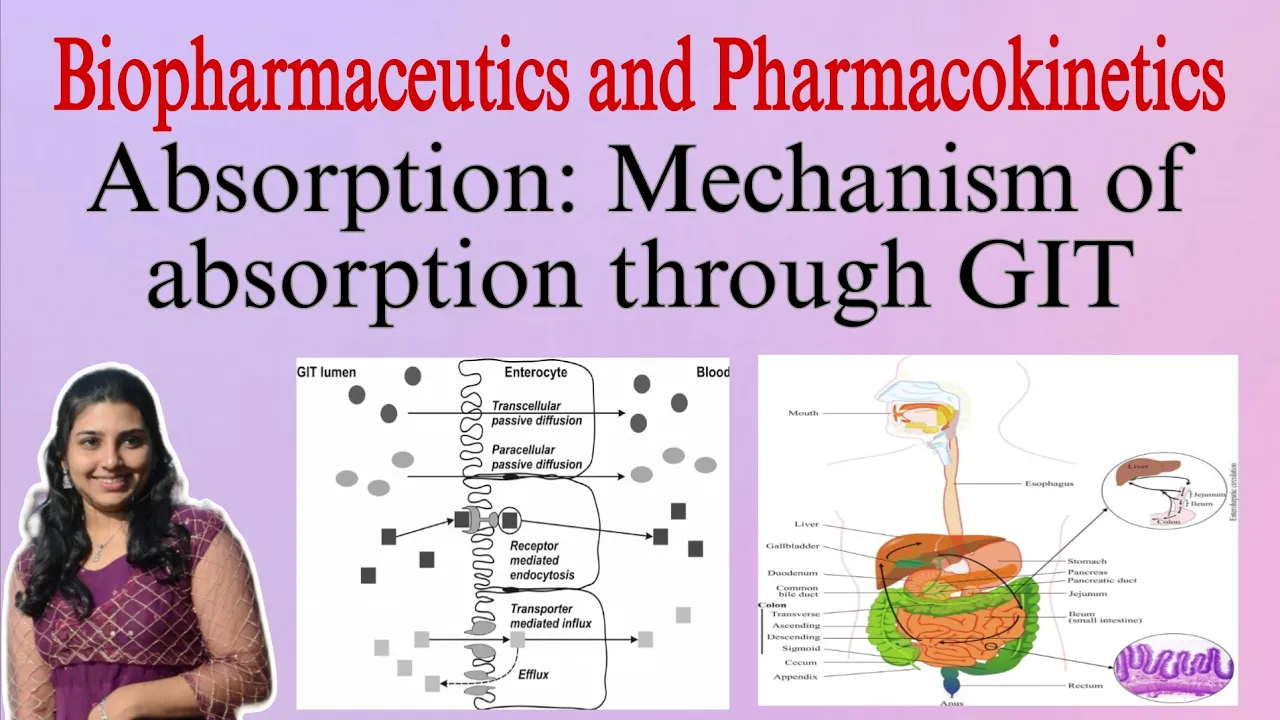 Absorption and Mechanism of Absorption through GIT| Biopharmaceutics | B.Pharm 6thsem