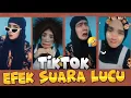 EFEK SUARA LUCU || FILTER EFFECT TIKTOK PART 238