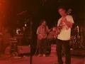 10 Ft. Ganja Plant Live - Chalwa