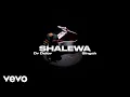 Download Lagu Dr dolor - Shalewa (Visualizer) ft. Singah