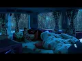 Deep Sleep Ambience: Natural Sounds of Rain & Thunder for Sleep Quickly, Melting Away Stress, ASMR
