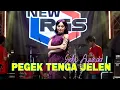 Download Lagu Selvi Ayunda - Pengek Tenga Jelen (Official Live Music Video)