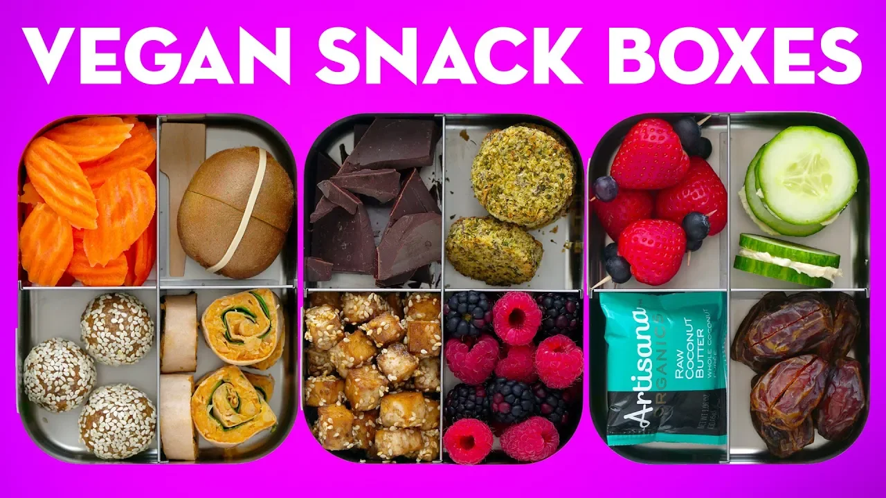 Vegan Snack Bento Box Recipes + FREE GIFT OFFER! Healthy Snacks on a Budget - Mind Over Munch