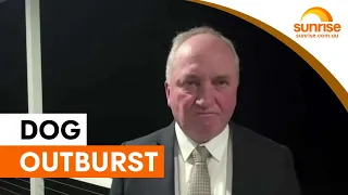 Barnaby Joyce s dog outburst sparks debate Sunrise