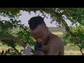 Heaven - The Blaze