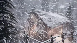 STORM WARNING 71 Surviving A BRUTAL RUSSIAN WINTER In 2025 BRUTAL EXTREME Cold 